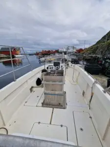 Sunniva med deltakarrett Leppefisk - Bilde 7