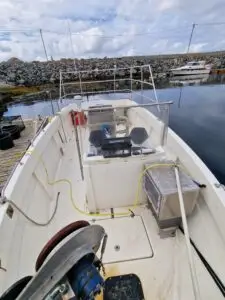 Sunniva med deltakarrett Leppefisk - Bilde 6