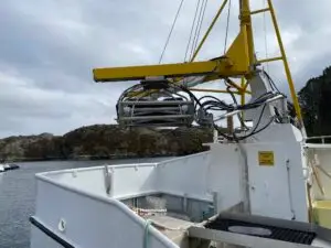 Oddny Anita - Bilde 5