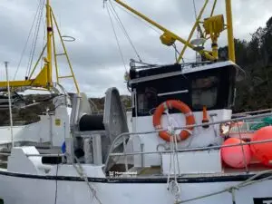 Oddny Anita - Bilde 4