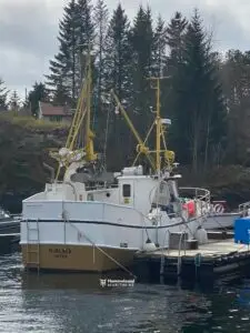 Oddny Anita - Bilde 3