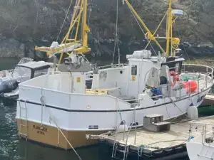 Oddny Anita - Bilde 2