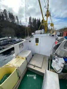 Oddny Anita - Bilde 28