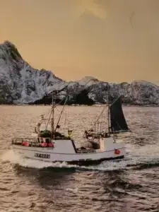 Emma inkl. deltakarrett torsk 12-13 m n62° Region Sør - Bilde 28