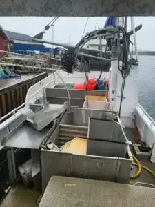 "Pia" m/deltakarrett Leppefisk - Bilde 19