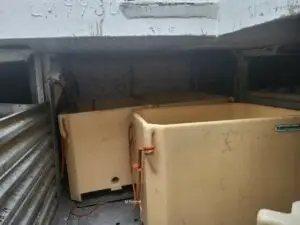 "Pia" m/deltakarrett Leppefisk - Bilde 18