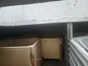 "Pia" m/deltakarrett Leppefisk - Bilde 17