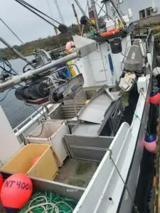 Emma inkl. deltakarrett torsk 12-13 m n62° Region Sør - Bilde 3