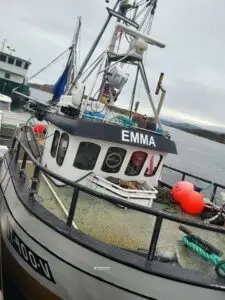 Emma inkl. deltakarrett torsk 12-13 m n62° Region Sør - Bilde 14