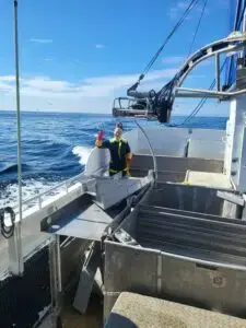 Emma inkl. deltakarrett torsk 12-13 m n62° Region Sør - Bilde 4