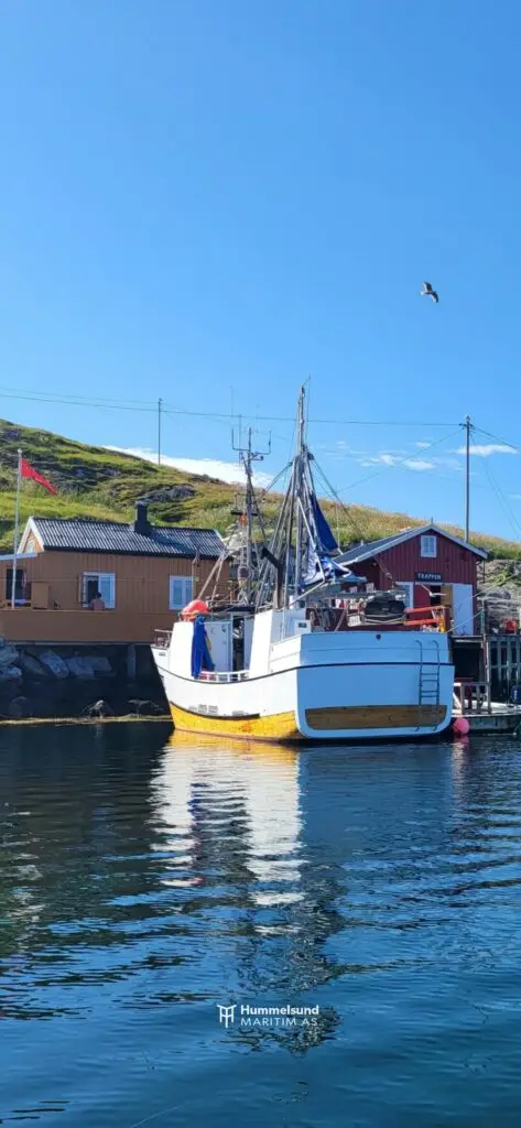 Emma inkl. deltakarrett torsk 12-13 m n62° Region Sør - Bilde 9
