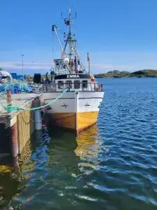 Emma inkl. deltakarrett torsk 12-13 m n62° Region Sør - Bilde 7
