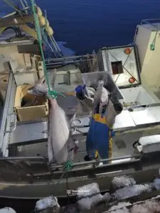 "Tante Berit" - Bilde 28