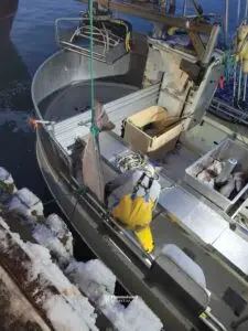 "Tante Berit" - Bilde 26