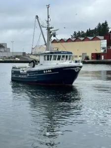 "Blue Bird II" - Bilde 19