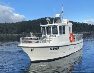 "Sjofjord" - Bilde 18