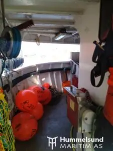 "Stridsholm" - Bilde 39