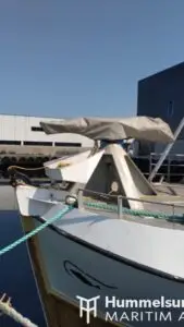 "Stridsholm" - Bilde 36