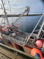 "Lystind" med deltakarrett Torsk, hyse og sei n62° Region Nord 10-11m - Bilde 2