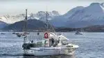 "Havsula". Tidlegare fiskeriregistrert - Bilde 44