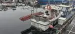 "Havsula". Tidlegare fiskeriregistrert - Bilde 17