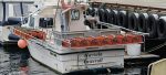"Havsula". Tidlegare fiskeriregistrert - Bilde 15