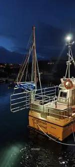 "Havsula". Tidlegare fiskeriregistrert - Bilde 14