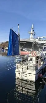 "Havsula". Tidlegare fiskeriregistrert - Bilde 12