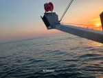 "Anita" med deltakarrett torsk, hyse og sei n62° Region Sør. Hj.lengd 9.60 m og Leppefisk - Bilde 9