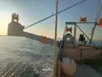 "Anita" med deltakarrett torsk, hyse og sei n62° Region Sør. Hj.lengd 9.60 m og Leppefisk - Bilde 8