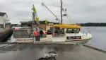 "Anita" med deltakarrett torsk, hyse og sei n62° Region Sør. Hj.lengd 9.60 m og Leppefisk - Bilde 13