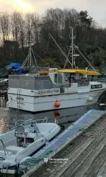 "Anita" med deltakarrett torsk, hyse og sei n62° Region Sør. Hj.lengd 9.60 m og Leppefisk - Bilde 14