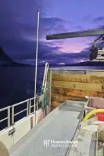 "Anita" med deltakarrett torsk, hyse og sei n62° Region Sør. Hj.lengd 9.60 m og Leppefisk - Bilde 10