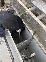 "Gaute" med deltakarrett NVG-sild 10-11 m og Leppefisk - Bilde 8
