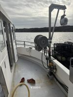 "Gaute" med deltakarrett NVG-sild 10-11 m og Leppefisk - Bilde 5