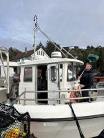"Gaute" med deltakarrett NVG-sild 10-11 m og Leppefisk - Bilde 11