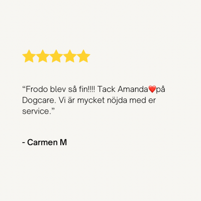 Cream Minimalist Product Customer Review Instagram Post