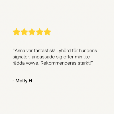 Cream Minimalist Product Customer Review Instagram Post
