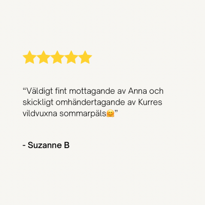 Cream Minimalist Product Customer Review Instagram Post
