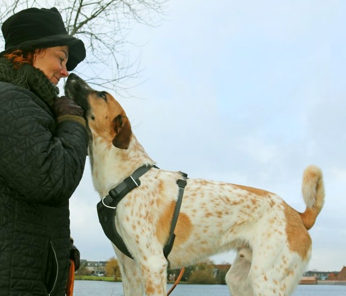 Uundværlig viden i En blog om livet med hund – et liv i balance.