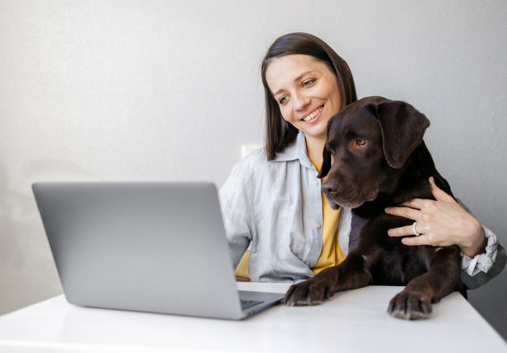 Online Hundetræning 100% skræddersyet stor pakke