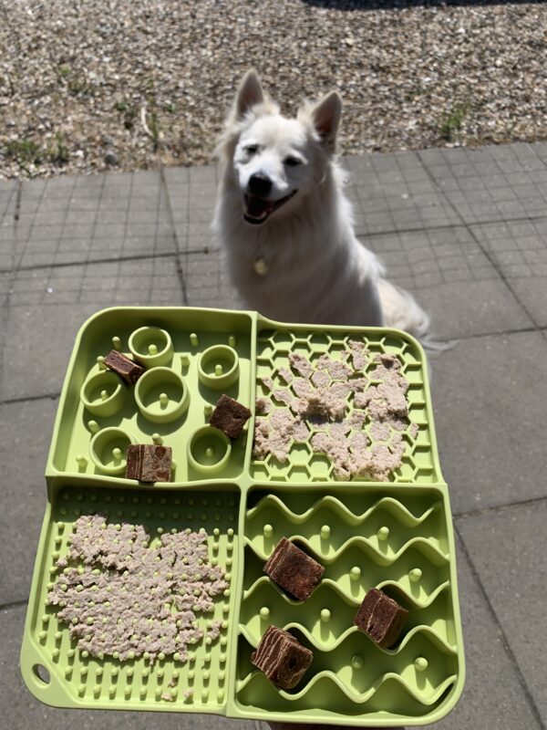 Slikkemåtte Multi nr. 1 Aktiveringslegetøj til din hund Slikkemåtte Multi nr. 1 Aktiveringslegetøj til din hund Slikkemåtte Multi / slowfeeder til din hund med 4 forskellige mønstre Måler 21 x 21 x 2 cm! Takket være de forskellige teksturer kan du bruge både tør, våd og frisk mad, så som BARF, torskerogn, røget laks og andet godt. Tilføj enten tørfoder, godbidder eller vådfoder og lad din hund få sit måltid, samtidig med at den bruger sine sanser, ved at snuse og slikke, for at få maden fri. Begge dele er stressreducerende for hunden og giver derved hunden en sund måde at blive træt på. De fleste hunde elsker at arbejde for deres mad og med denne slikkemåtte kan du både give din hund foder samtidig med at du stimulerer din hund mentalt og på et og samme tid, forhindre hunden i at sluge maden for hurtigt. Gode ideer til brugen af dit aktiveringslegetøj til hunden Smør for eksempel noget vådfoder – dåsemad på, lig den i fryseren og brug den når du fx skal distrahere hunden, mens du vasker hunden, eller klipper negle eller når du har gæster og hunden skal hugge sig med noget alt imens. Slikkemåtten Multi har en kant på 2 cm, så foderet ikke løber ud. Derudover er der sugekopper på bagsiden, så slikkemåtten ikke glider rundt - Slikkemåtten kan fastgøres til enhver overflade takket være de praktiske sugekopper på bagsiden. Her får du mental aktivering kombineret med de sødeste design - what's not to like?! 🐶 Slikkemåtte Blomster nr. 1 Aktiveringslegetøj til din hund Aktiveringslegetøj til hunde - Mentalstimulerende og sjov at arbejde med. Slikkemåtter – kong – zogoflex, med mange andre. Det vigtigste redskab du skal investere i til din hund. Det er en fest, ren fornøjelse for den enkelte hund at få, med lækkert fyld, både vådt og tørt foder samt godbidder kan tilføres. Det er mentalstimulerende for din hund, og derved hjælper din hund til at blive naturligt træt. Det er et godt ”hemmeligt” våben, når du i din travle hverdag lige skal sikre at din hund bliver stimuleret. Flere Eksempler og ideer på/til at bruge dette fremragende aktiveringslegetøj til hunde: Vi kan med fordel bruge det til at give hvalpen/hunden mulighed for at få bearbejdet alle dagens/turens oplevelser/indtryk og herved ”putte alle indtryk i rette kasser”. (Godt at tilbyde når man kommer hjem fra en gåtur – idet hunden opfanger alt omkring sig og hermed kan det hjælpe på at give ro) Du skal have middagsgæster og hunden skal slappe af alt imens – her har hunden noget at foretage sig alt imens du varetager dine gæster som kommer til middag. Miljøtræning – kan ikke undgås – den hjælper hunden til at forholde sig neutralt til sine omgivelser, samt forbinder hunden sine omgivelser med noget positivt (lyde/bevægelser = der kommer noget positivt ind i munden) Ydermere er det et Fremragende redskab til din lydtræning og miljøtræning. Lydtræning er 80% af vores træning og prægning af hundens selvtillid og deraf en hund i balance. Produktbeskrivelse: Slikkemåtten er fremstillet i fødevaregodkendt samt BPA-fri silikone. Slikkemåtten måler 21 x 21 x 2 cm Sugekopper på bagsiden Non-stick materiale Let at rengøre Kan vaskes i opvaskemaskinen BPA-fri Bidrager til mental sundhed hos hunden Ideer til andet aktiveringslegetøj og eller foder/godbidder som du med fordel kan bruge: Aktiveringslegetøj: DODECABALL aktiveringslegetøj – MAXI 8 cm Pink Jolly-Tuff – Lille 11,5cm DIABALL aktiveringslegetøj – Mini 8 cm Grøn OCTABALL aktiveringslegetøj – MAXI 14.5cm Blå Foder: Puppy Lamb & Potato (12 kg) – Chicopee Holistic Nature Line – Kornfrit foder Adult Ostrich & Potato (semisoft) 12 kg – Chicopee Holistic Nature Line Godbidder: Chicopee Dog Adult Poultry & Salmon 1 x 400 gram Chicopee Joint Bites med Grønlæbet Musling & Rejer 350g Woolf – Goat-Ged semi soft 100g