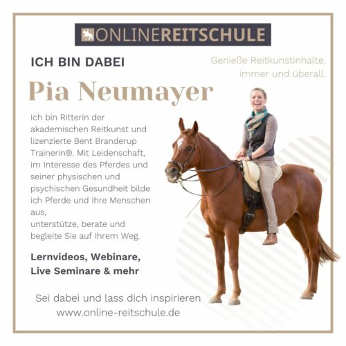 ONLINEREITSCHULE