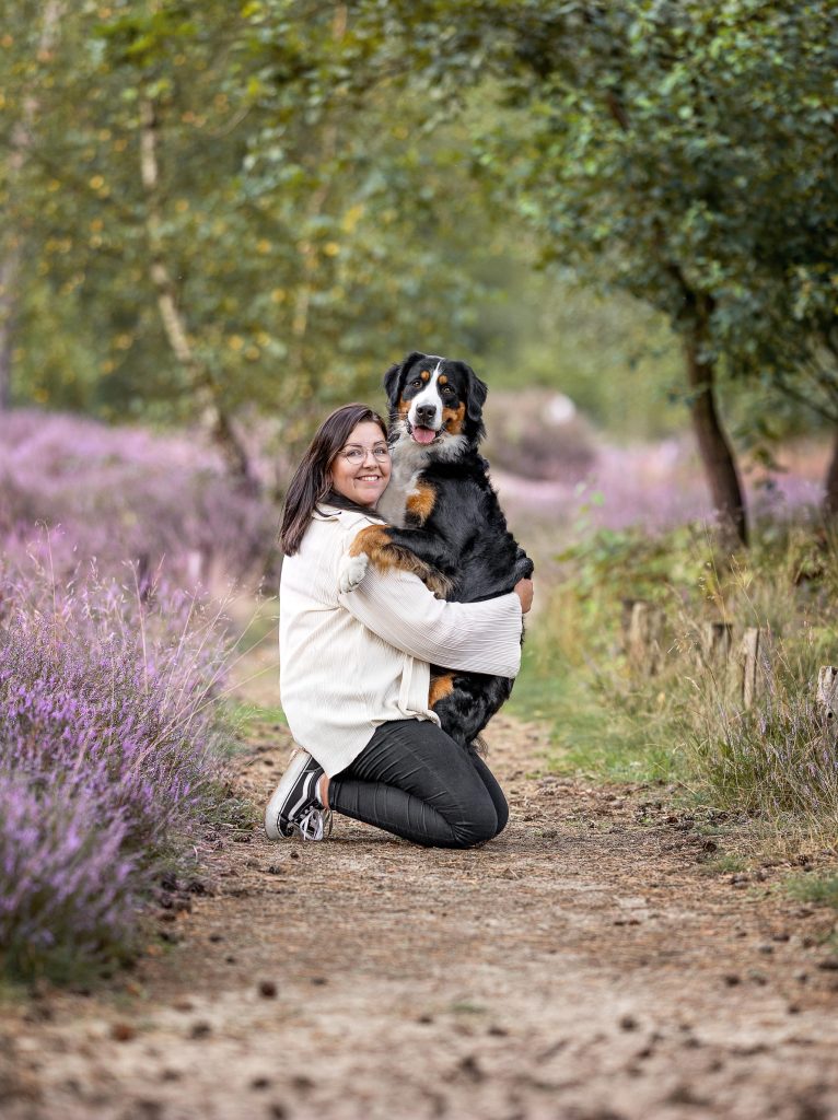 Bernersenne-Heide-Shooting-Hundeblick-Photography