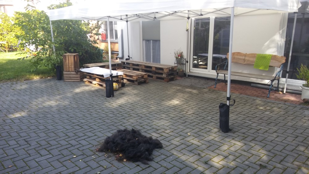 Hundefriseur Braunschweig Außenbereich