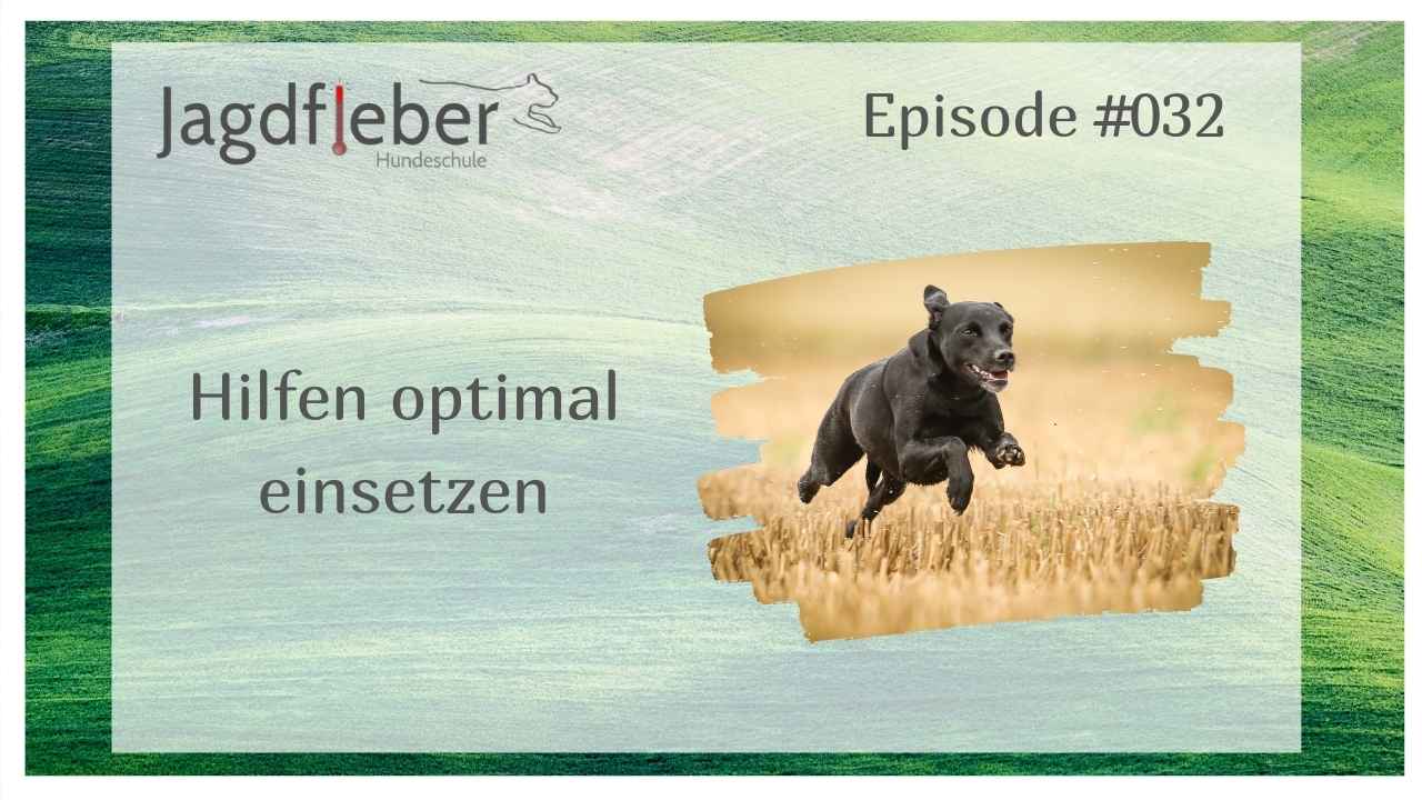 P032: Hilfen optimal einsetzen » Hundeschule Jagdfieber