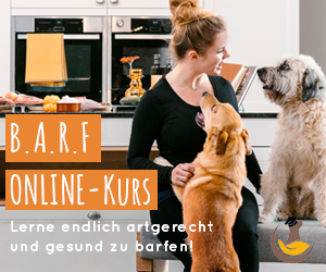 BARF Online Kurs Cover