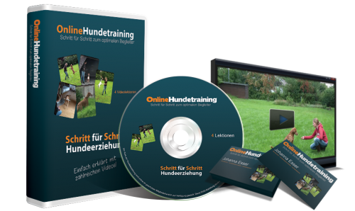 Online Hundetraining Cover