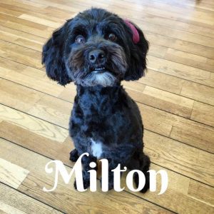 Milton