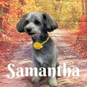 Samantha